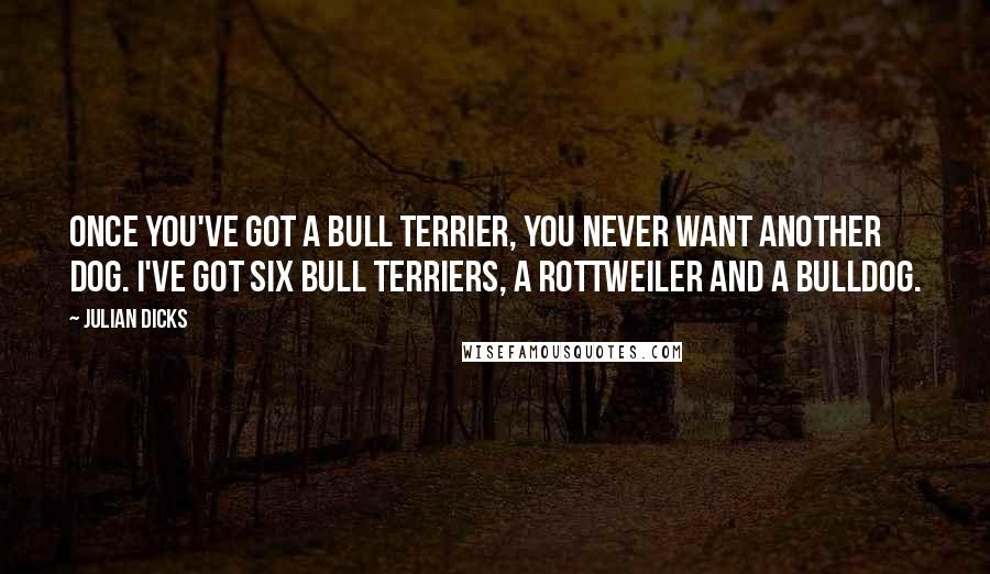 Julian Dicks Quotes: Once you've got a bull terrier, you never want another dog. I've got six bull terriers, a rottweiler and a bulldog.