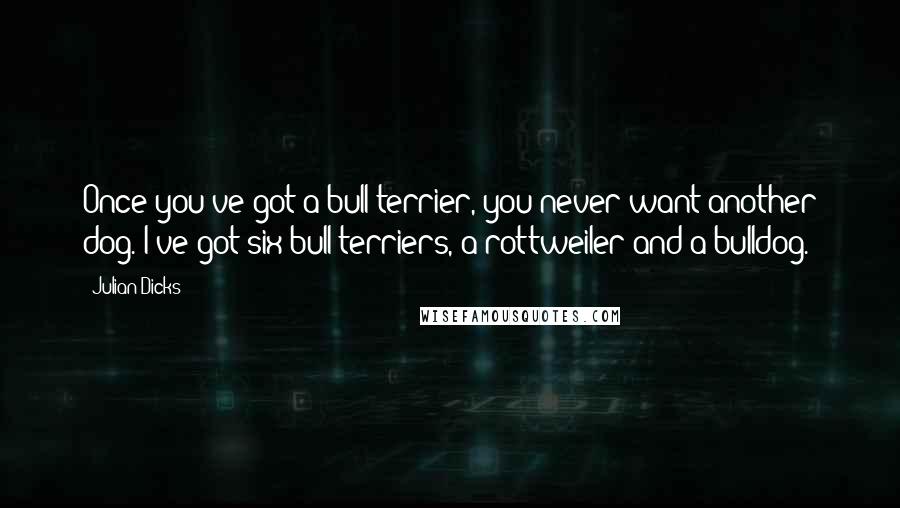 Julian Dicks Quotes: Once you've got a bull terrier, you never want another dog. I've got six bull terriers, a rottweiler and a bulldog.