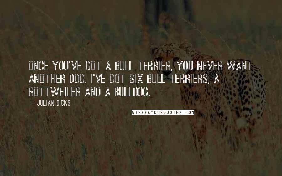 Julian Dicks Quotes: Once you've got a bull terrier, you never want another dog. I've got six bull terriers, a rottweiler and a bulldog.