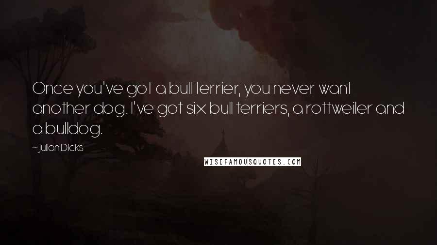 Julian Dicks Quotes: Once you've got a bull terrier, you never want another dog. I've got six bull terriers, a rottweiler and a bulldog.