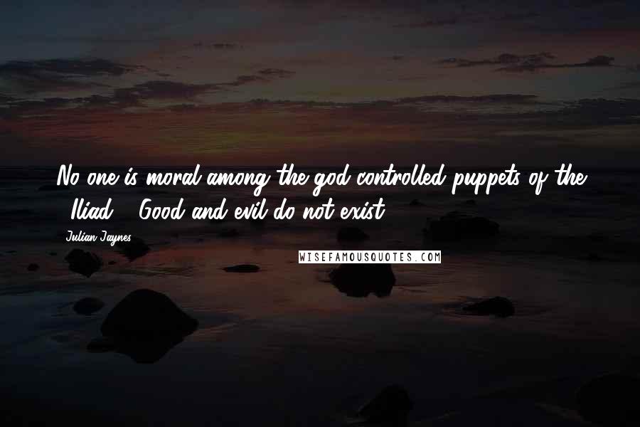 Julian Jaynes Quotes: No one is moral among the god-controlled puppets of the _Iliad_. Good and evil do not exist.