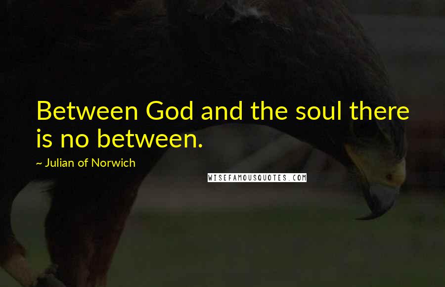 Julian Of Norwich Quotes: Between God and the soul there is no between.