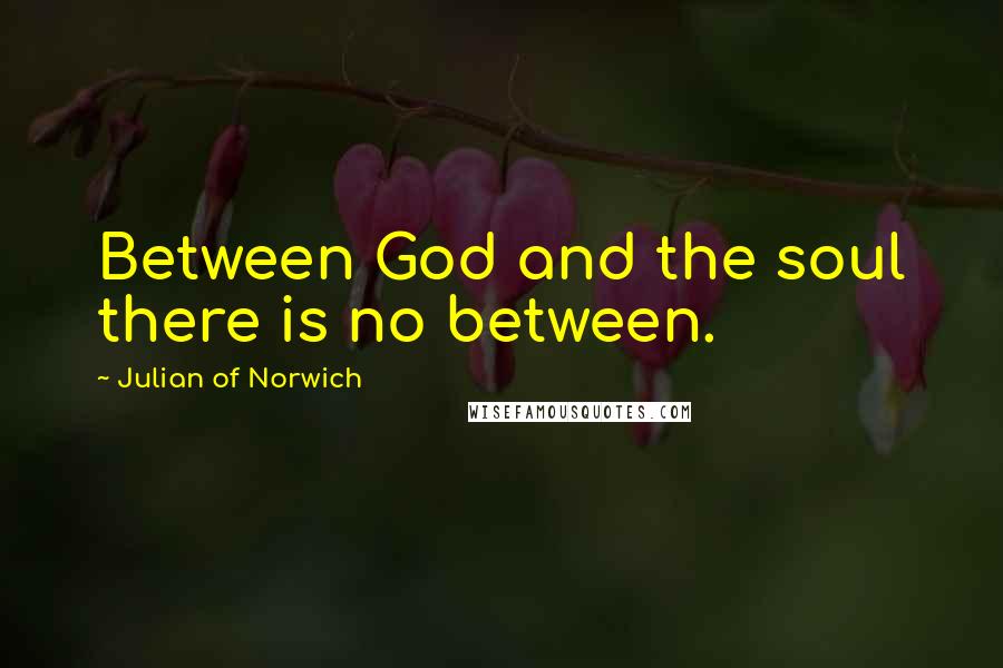 Julian Of Norwich Quotes: Between God and the soul there is no between.