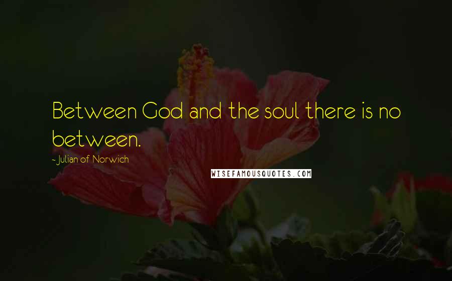 Julian Of Norwich Quotes: Between God and the soul there is no between.