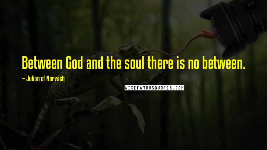 Julian Of Norwich Quotes: Between God and the soul there is no between.