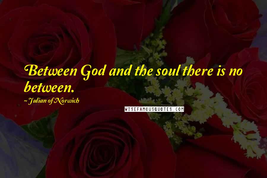 Julian Of Norwich Quotes: Between God and the soul there is no between.