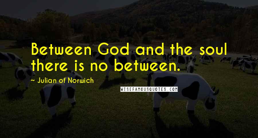 Julian Of Norwich Quotes: Between God and the soul there is no between.