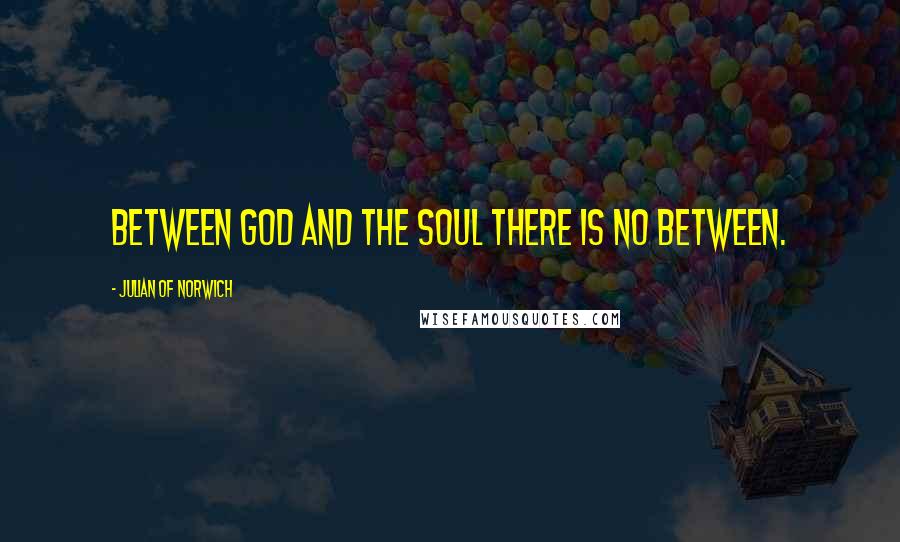 Julian Of Norwich Quotes: Between God and the soul there is no between.