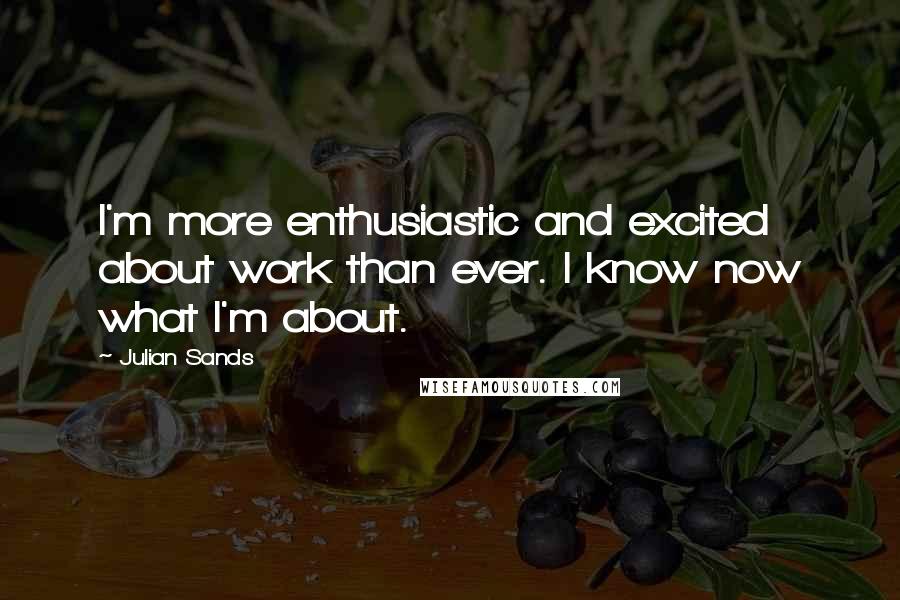 Julian Sands Quotes: I'm more enthusiastic and excited about work than ever. I know now what I'm about.