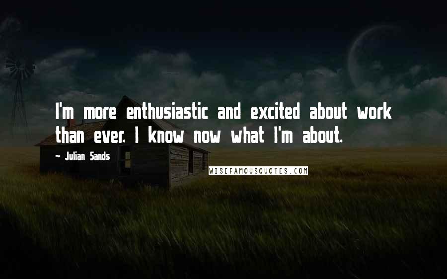 Julian Sands Quotes: I'm more enthusiastic and excited about work than ever. I know now what I'm about.