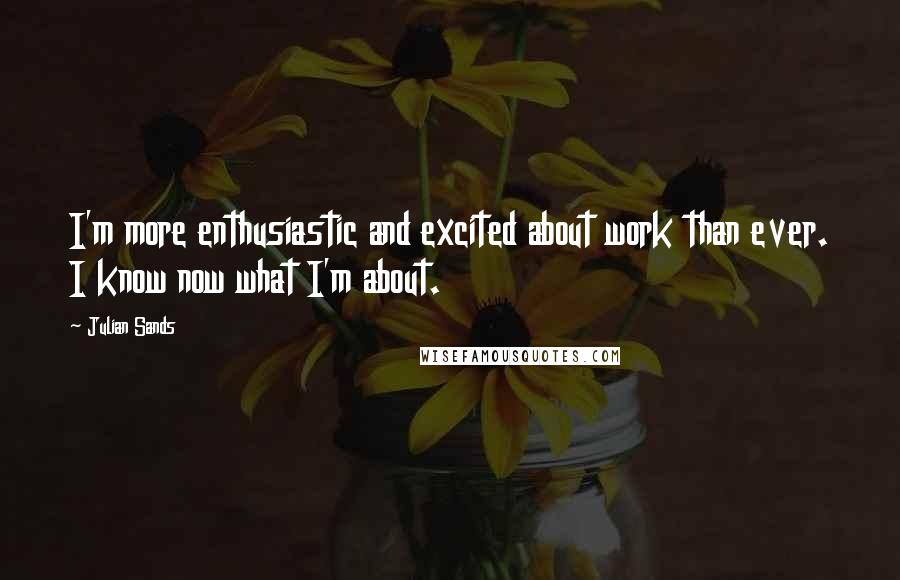 Julian Sands Quotes: I'm more enthusiastic and excited about work than ever. I know now what I'm about.