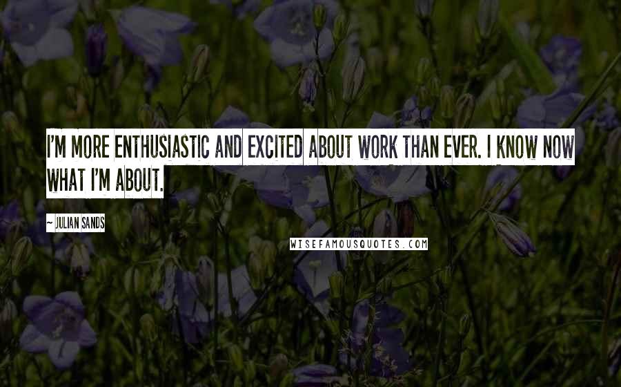 Julian Sands Quotes: I'm more enthusiastic and excited about work than ever. I know now what I'm about.