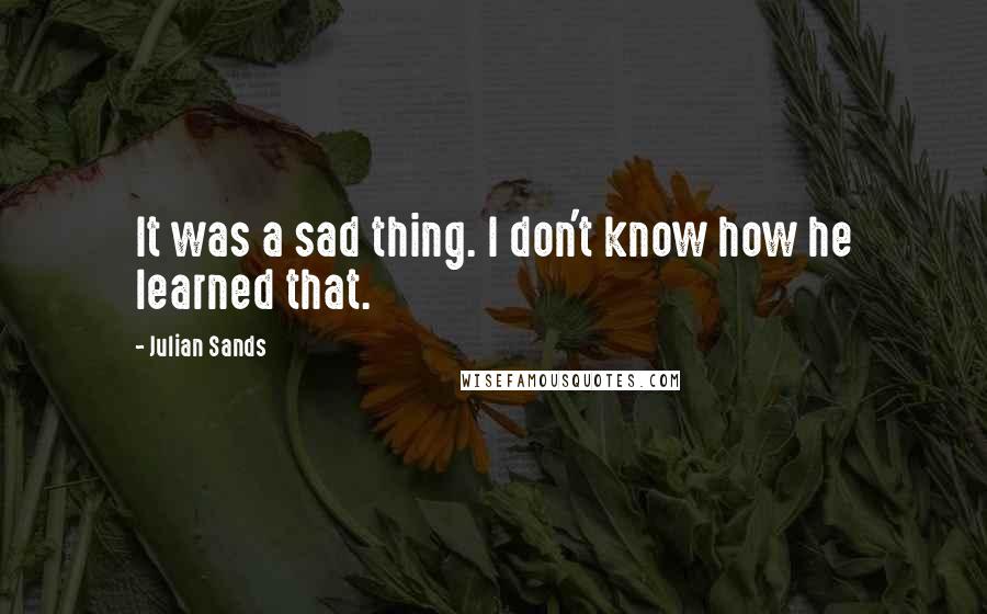 Julian Sands Quotes: It was a sad thing. I don't know how he learned that.