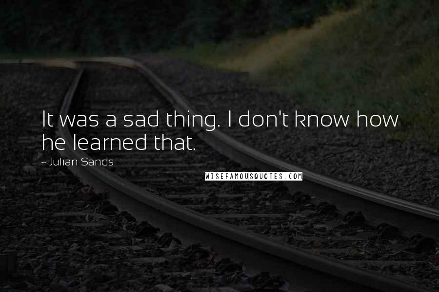 Julian Sands Quotes: It was a sad thing. I don't know how he learned that.