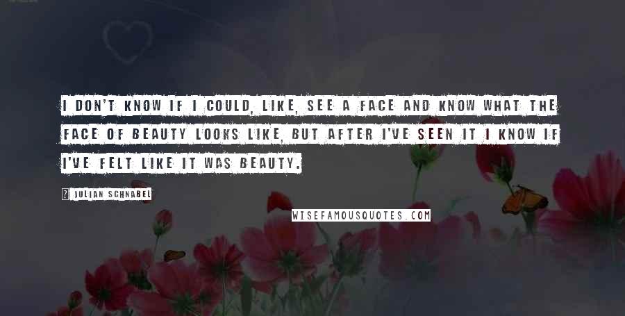 Julian Schnabel Quotes: I don't know if I could, like, see a face and know what the face of beauty looks like, but after I've seen it I know if I've felt like it was beauty.