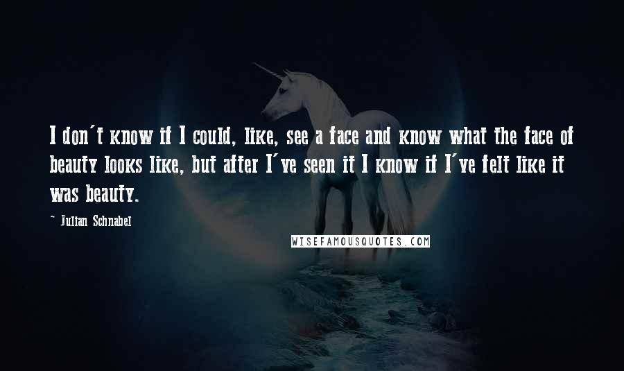 Julian Schnabel Quotes: I don't know if I could, like, see a face and know what the face of beauty looks like, but after I've seen it I know if I've felt like it was beauty.