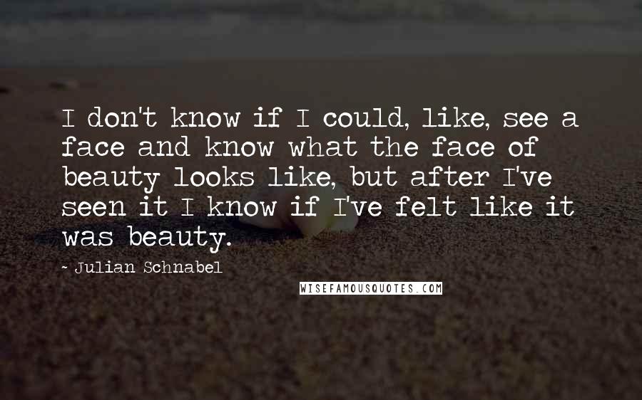 Julian Schnabel Quotes: I don't know if I could, like, see a face and know what the face of beauty looks like, but after I've seen it I know if I've felt like it was beauty.