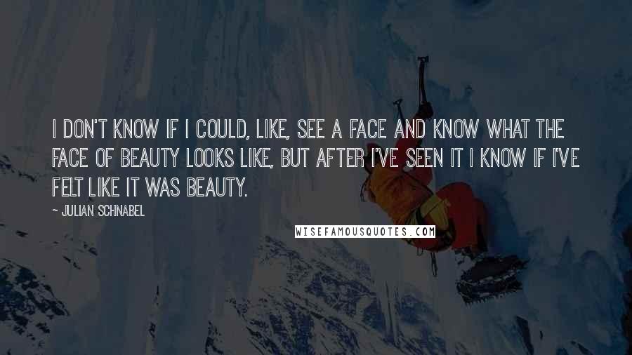 Julian Schnabel Quotes: I don't know if I could, like, see a face and know what the face of beauty looks like, but after I've seen it I know if I've felt like it was beauty.