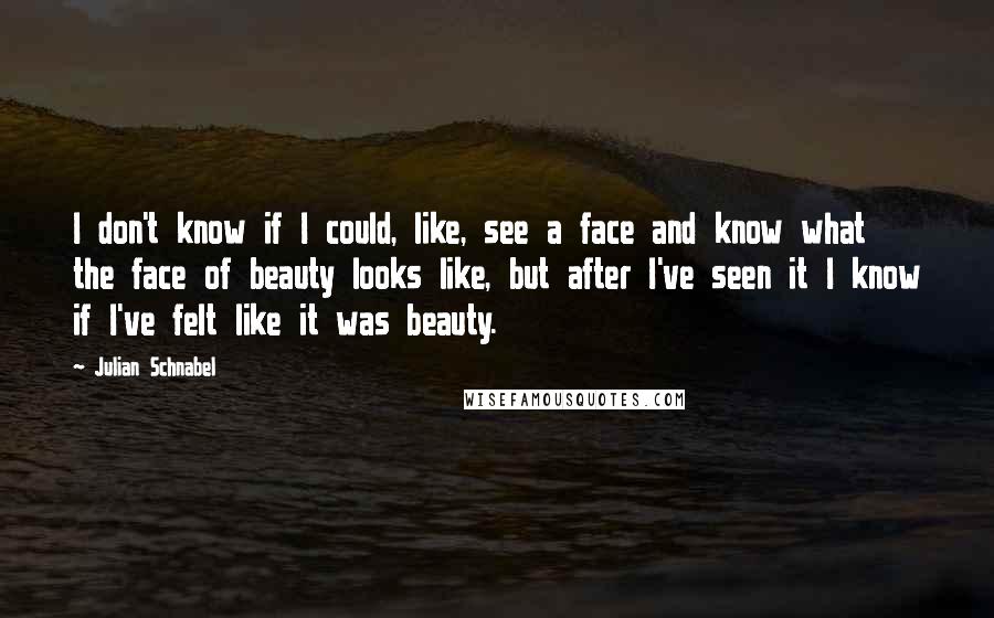 Julian Schnabel Quotes: I don't know if I could, like, see a face and know what the face of beauty looks like, but after I've seen it I know if I've felt like it was beauty.