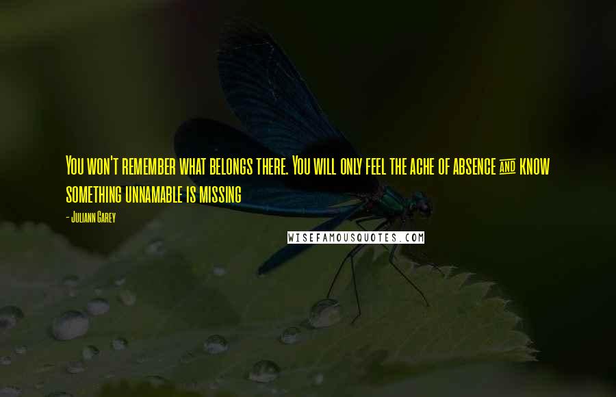 Juliann Garey Quotes: You won't remember what belongs there. You will only feel the ache of absence & know something unnamable is missing