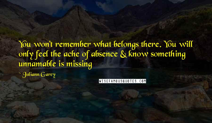 Juliann Garey Quotes: You won't remember what belongs there. You will only feel the ache of absence & know something unnamable is missing