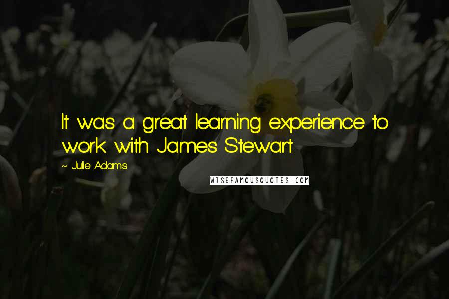 Julie Adams Quotes: It was a great learning experience to work with James Stewart.