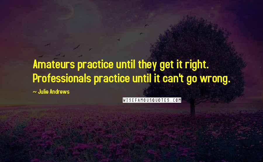 Julie Andrews Quotes: Amateurs practice until they get it right. Professionals practice until it can't go wrong.