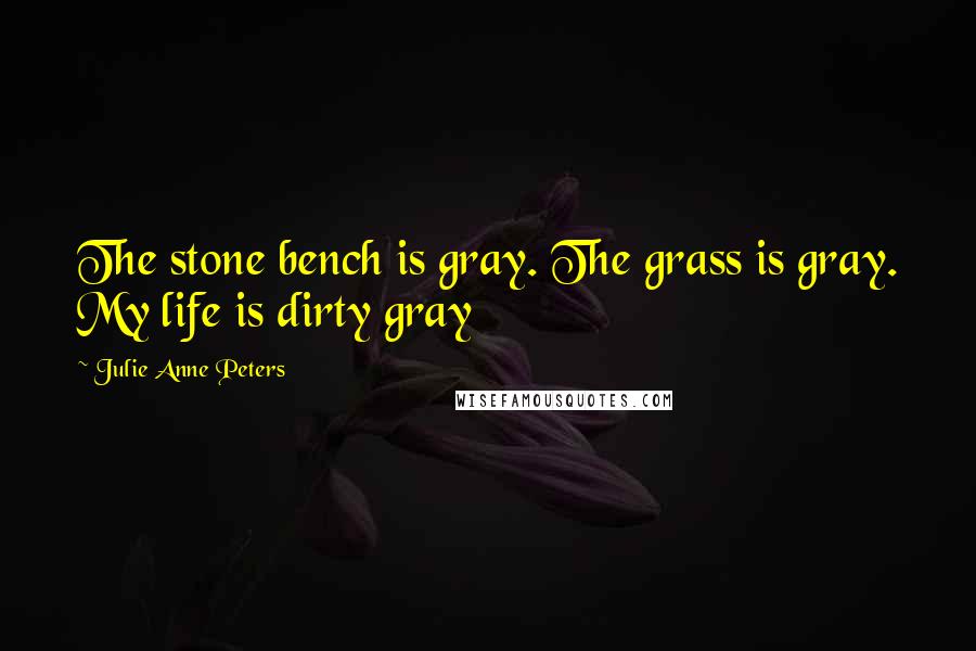 Julie Anne Peters Quotes: The stone bench is gray. The grass is gray. My life is dirty gray