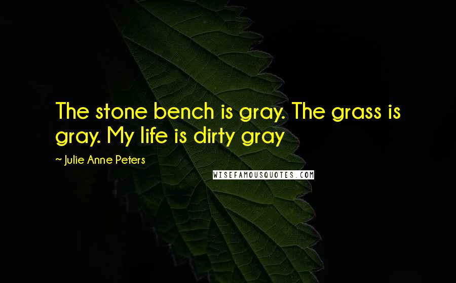 Julie Anne Peters Quotes: The stone bench is gray. The grass is gray. My life is dirty gray