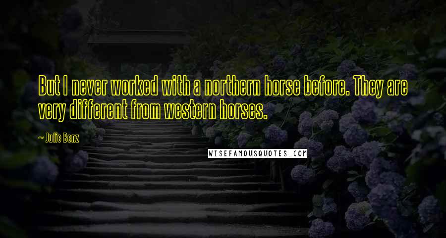 Julie Benz Quotes: But I never worked with a northern horse before. They are very different from western horses.