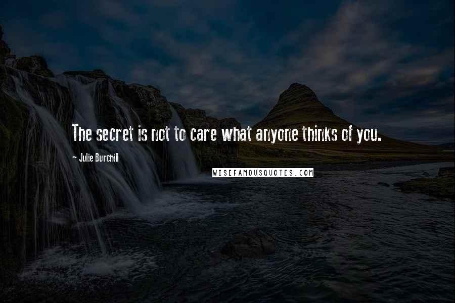 Julie Burchill Quotes: The secret is not to care what anyone thinks of you.