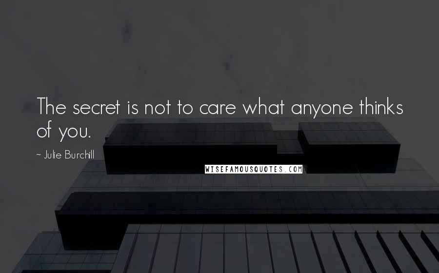 Julie Burchill Quotes: The secret is not to care what anyone thinks of you.