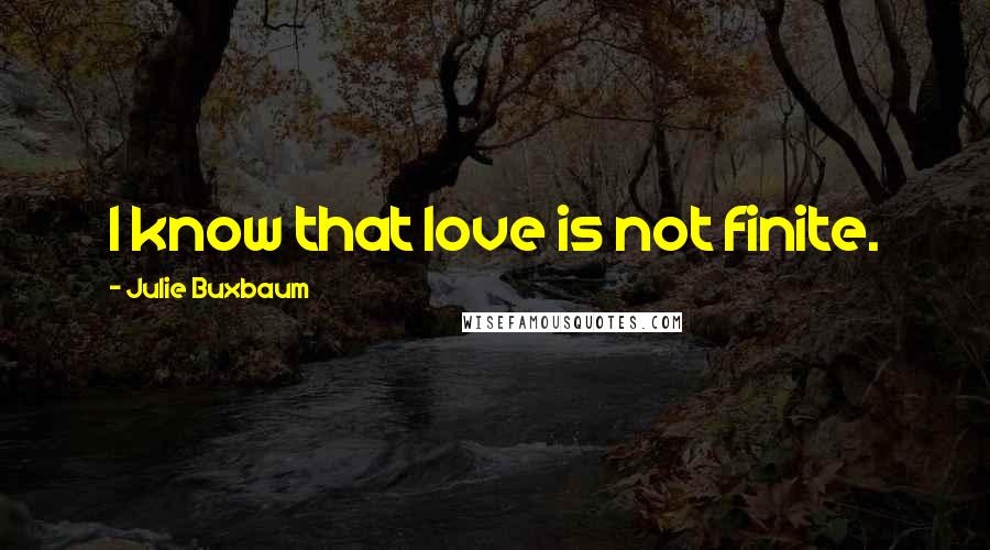 Julie Buxbaum Quotes: I know that love is not finite.