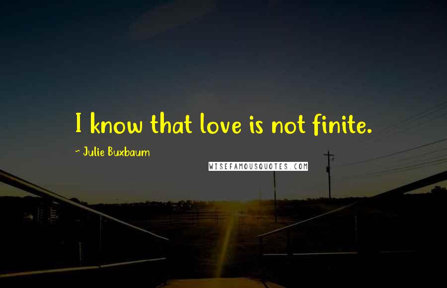 Julie Buxbaum Quotes: I know that love is not finite.