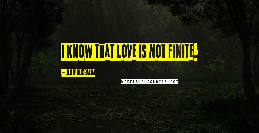 Julie Buxbaum Quotes: I know that love is not finite.