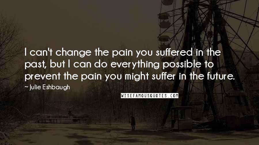 Julie Eshbaugh Quotes: I can't change the pain you suffered in the past, but I can do everything possible to prevent the pain you might suffer in the future.