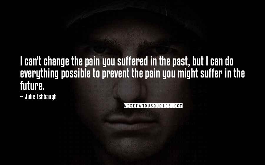 Julie Eshbaugh Quotes: I can't change the pain you suffered in the past, but I can do everything possible to prevent the pain you might suffer in the future.