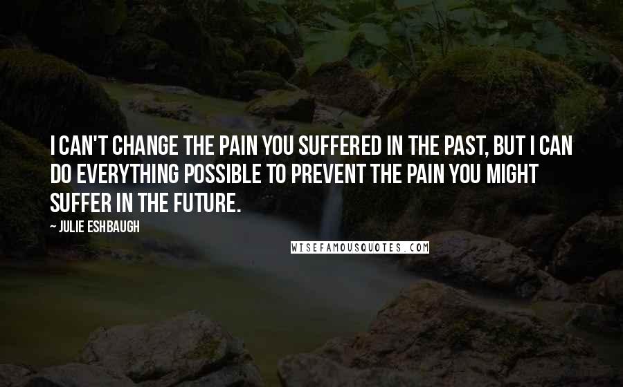 Julie Eshbaugh Quotes: I can't change the pain you suffered in the past, but I can do everything possible to prevent the pain you might suffer in the future.