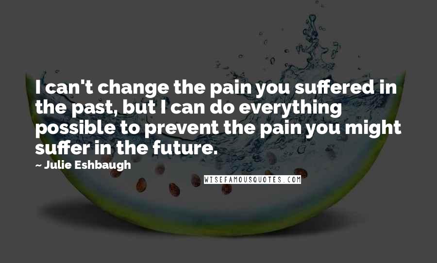 Julie Eshbaugh Quotes: I can't change the pain you suffered in the past, but I can do everything possible to prevent the pain you might suffer in the future.