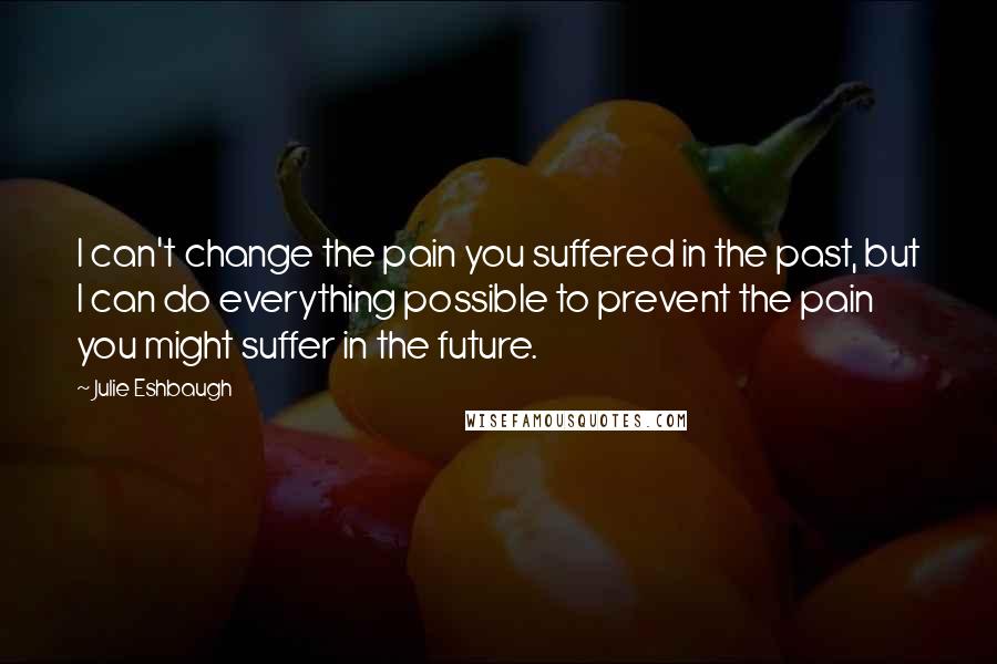 Julie Eshbaugh Quotes: I can't change the pain you suffered in the past, but I can do everything possible to prevent the pain you might suffer in the future.