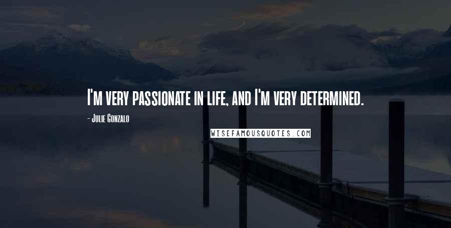 Julie Gonzalo Quotes: I'm very passionate in life, and I'm very determined.