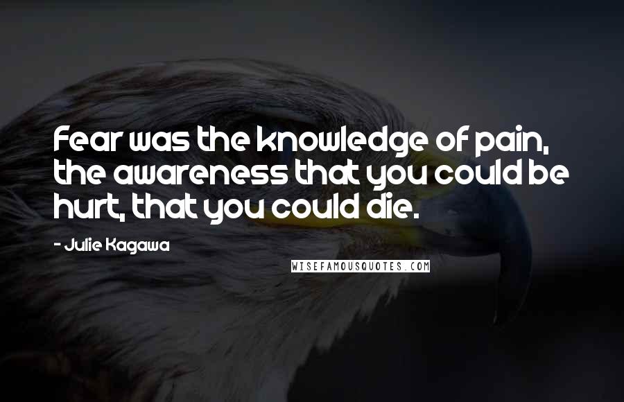 Julie Kagawa Quotes: Fear was the knowledge of pain, the awareness that you could be hurt, that you could die.