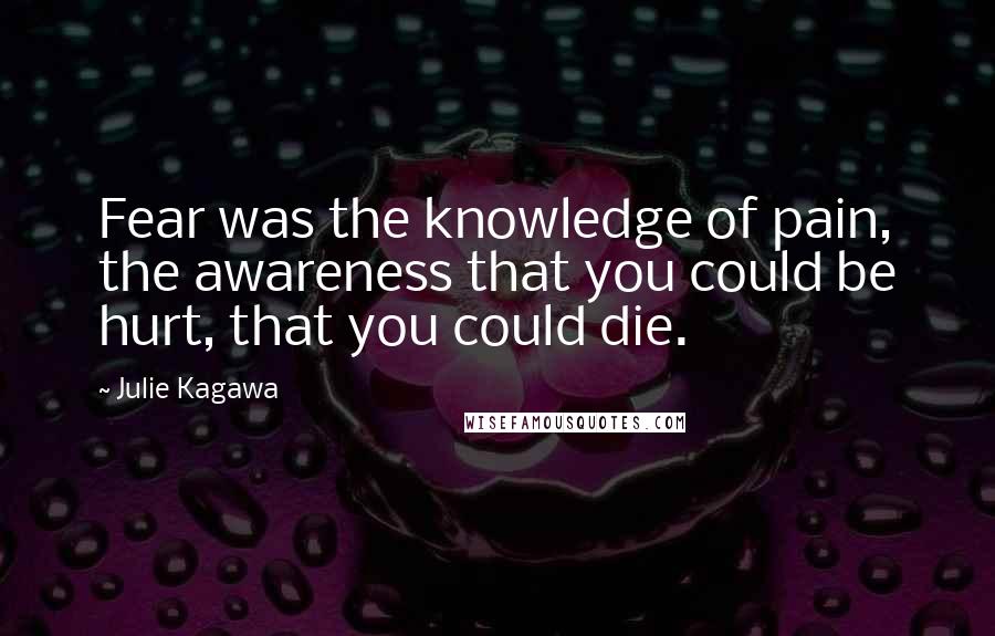 Julie Kagawa Quotes: Fear was the knowledge of pain, the awareness that you could be hurt, that you could die.