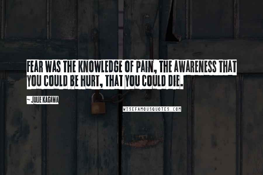 Julie Kagawa Quotes: Fear was the knowledge of pain, the awareness that you could be hurt, that you could die.