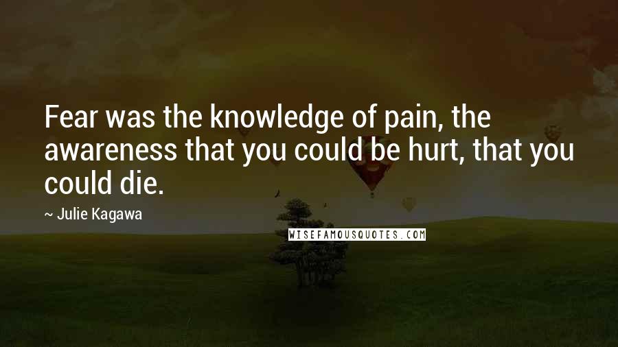 Julie Kagawa Quotes: Fear was the knowledge of pain, the awareness that you could be hurt, that you could die.