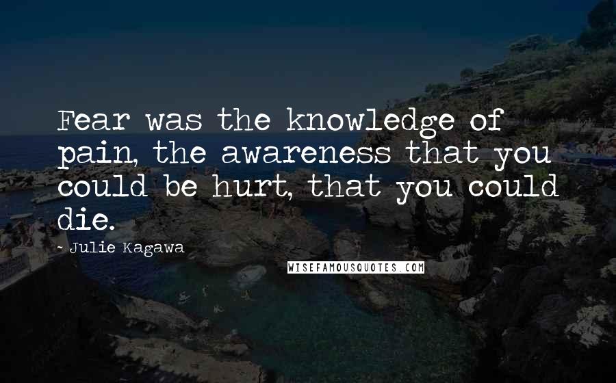 Julie Kagawa Quotes: Fear was the knowledge of pain, the awareness that you could be hurt, that you could die.