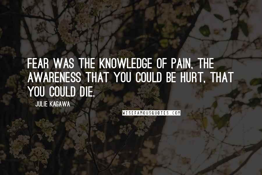 Julie Kagawa Quotes: Fear was the knowledge of pain, the awareness that you could be hurt, that you could die.