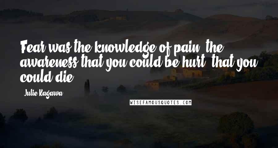 Julie Kagawa Quotes: Fear was the knowledge of pain, the awareness that you could be hurt, that you could die.