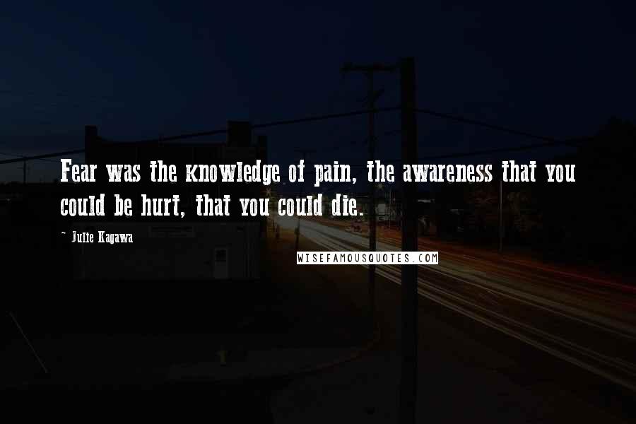 Julie Kagawa Quotes: Fear was the knowledge of pain, the awareness that you could be hurt, that you could die.