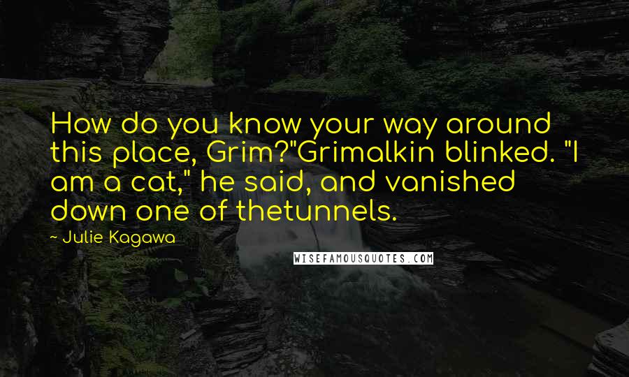 Julie Kagawa Quotes: How do you know your way around this place, Grim?"Grimalkin blinked. "I am a cat," he said, and vanished down one of thetunnels.